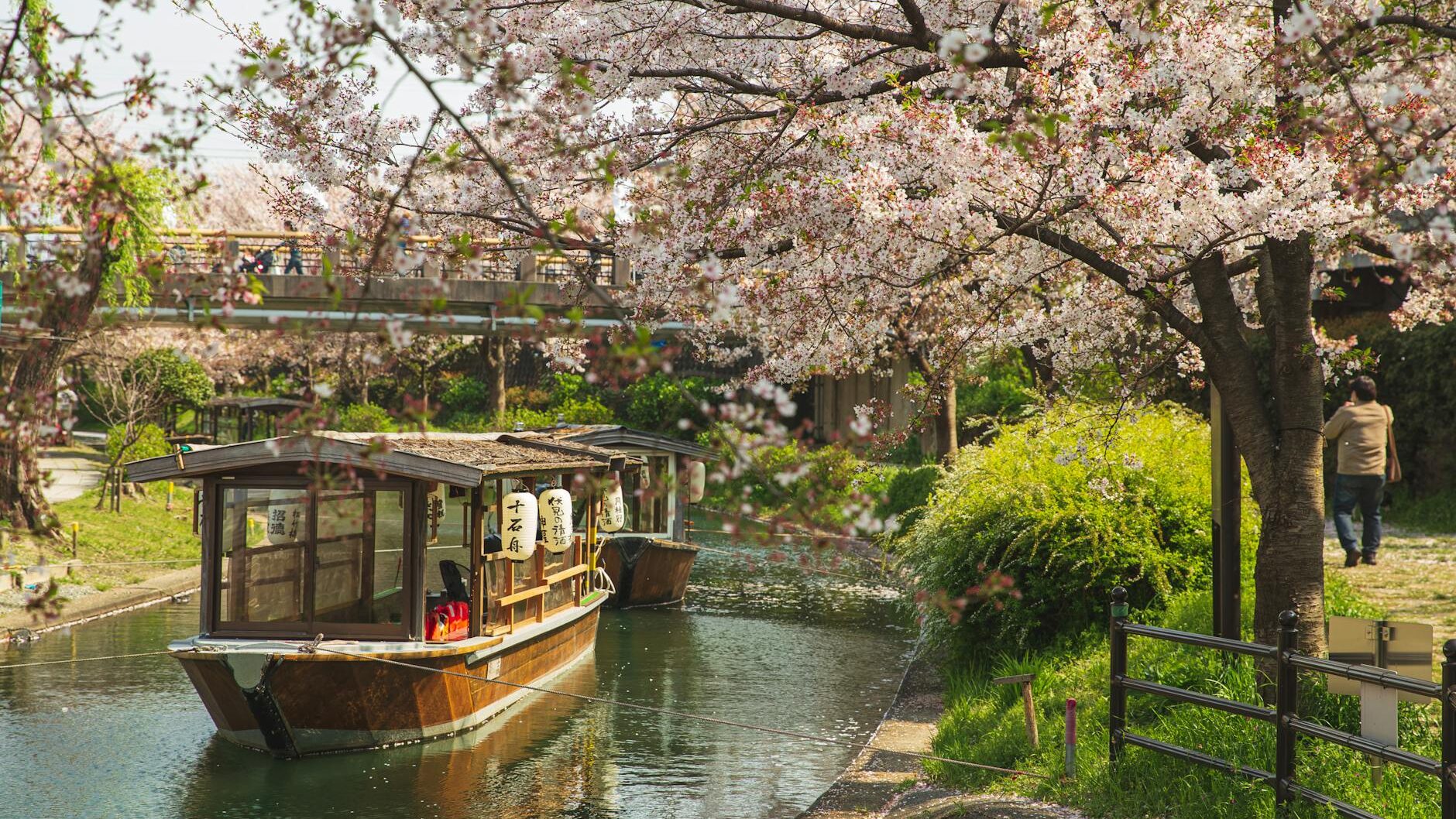 river channel with floating boat located in park